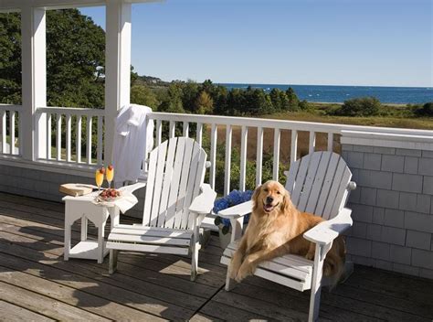 dog friendly hotels in wells maine|The 10 Best Pet